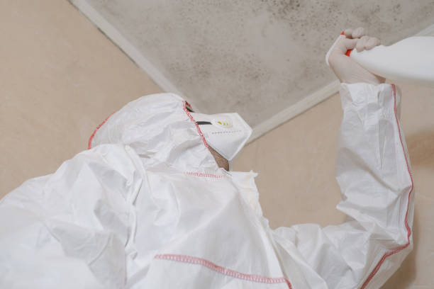 Best Health and Safety Mold Remediation in Mila Doce, TX