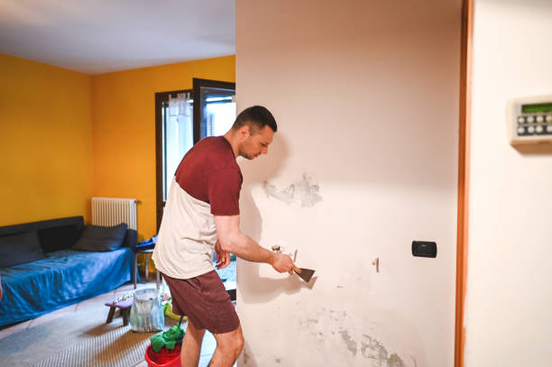 Reliable Mila Doce, TX Mold Remediation Solutions